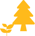 Growth Icon